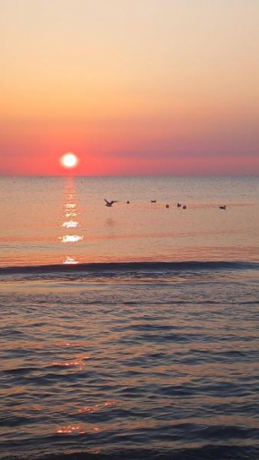 ALBA ADRIATICA vicino al mare